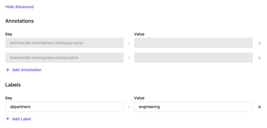 Workspace Form Advanced Annotations