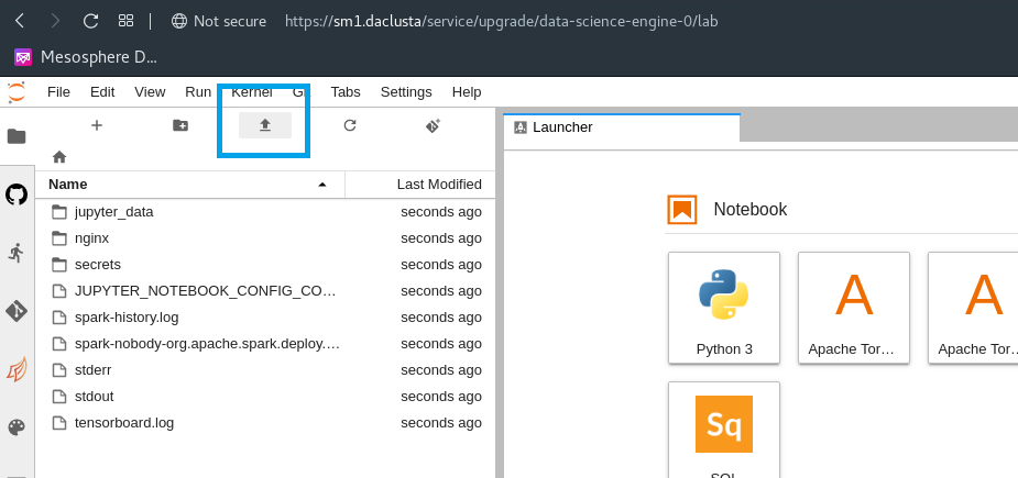 DC/OS Data Science Engine Notebook Upload